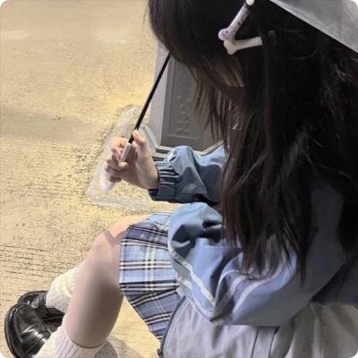 蓝徽特攻队
